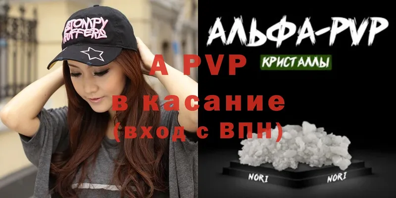 A PVP СК  Ленинск-Кузнецкий 